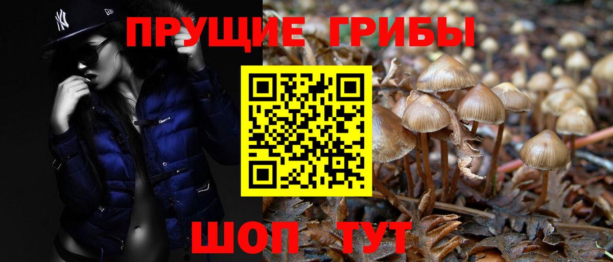 Псилоцибиновые грибы GOLDEN TEACHER  Галлюциногенные грибы Cubensis  Вход с VPN  Заринск 
